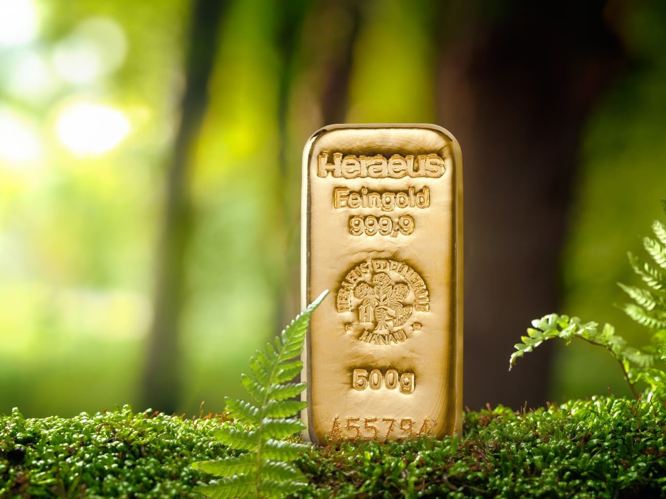A gold bar with the inscription "Heraeus Feingold 999.9" and "500g" stands upright on a bed of green moss with ferns in the foreground. 